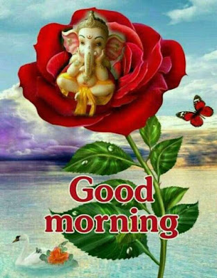 good morning good morning