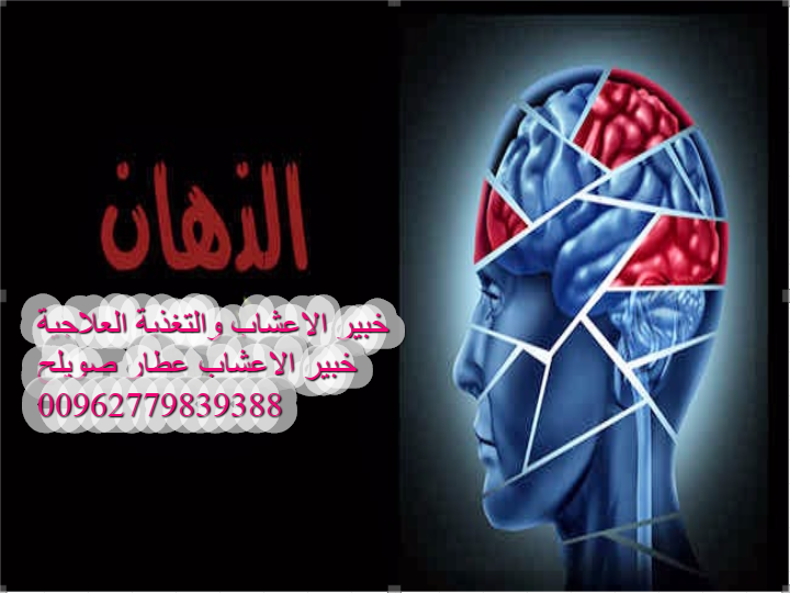 ماهو الذهان المخ والاعصاب بالاعشاب الطبية خبير الاعشاب والتغذية العلاجية عطارصويلح 00962779839388