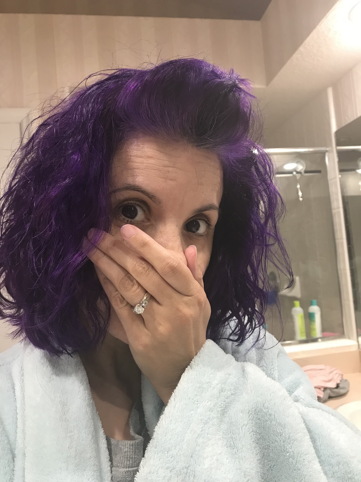 Arctic Fox Purple Rain [The Color Wheel Gallery]