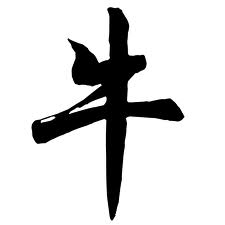 Fengshui: Kiinalainen horoskooppi: härkä