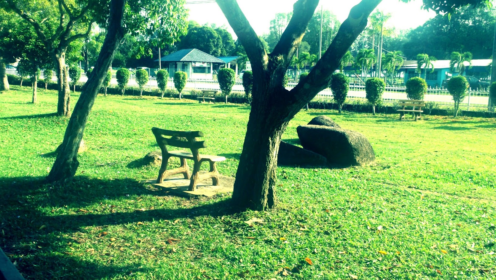 Woods Kuantan Mini Zoo The Fashion Ace