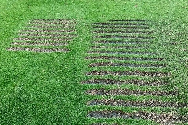 driving range divots made by LPGA golfer Sung Hyun Park