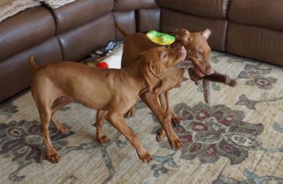 Ben and his cousin Eden on a play date