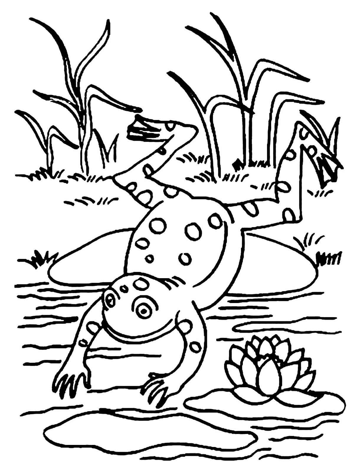 Tranh tô màu con ếch nhảy xuống hồ sen