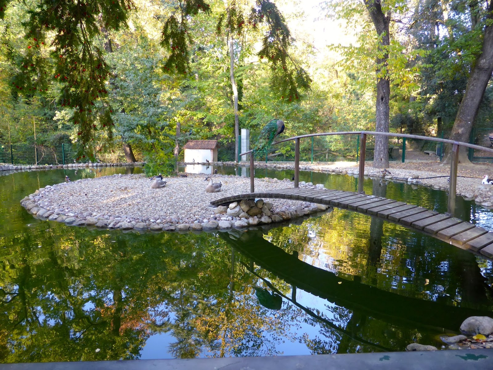 Facciamo un giro in centro? PARCO