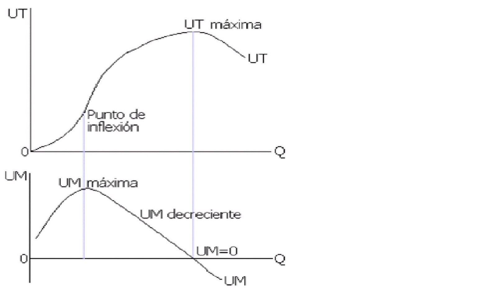Royal Elite Actualidad Ley de rendimientos decrecientes Royal Elite Actualidad Ley de rendimientos decrecientes
