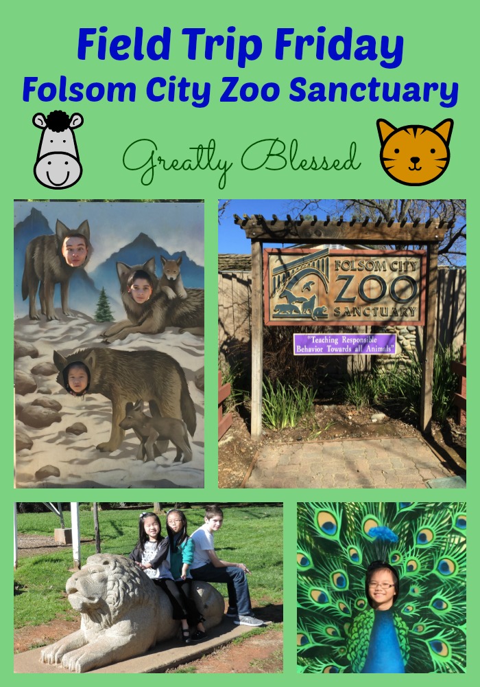 Greatly Blessed Field Trip Friday Folsom City Zoo Sanctuary