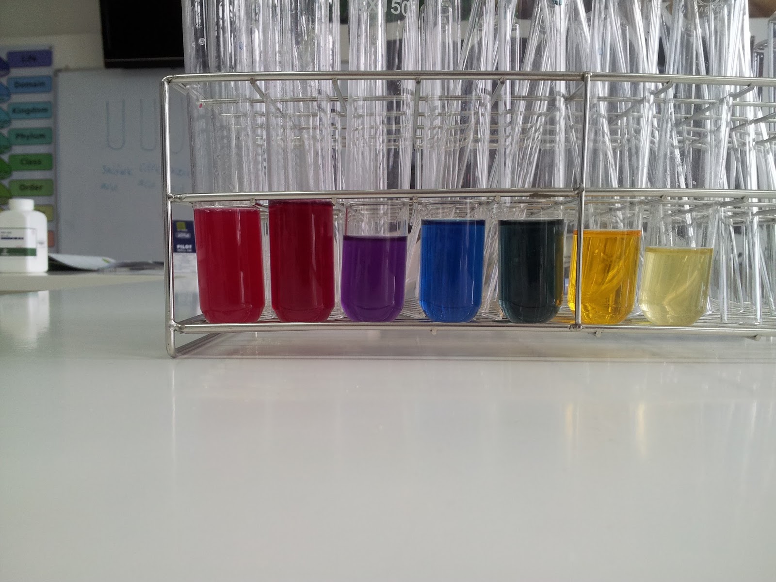 SIH Science Natural pH Indicator Butterfly Pea