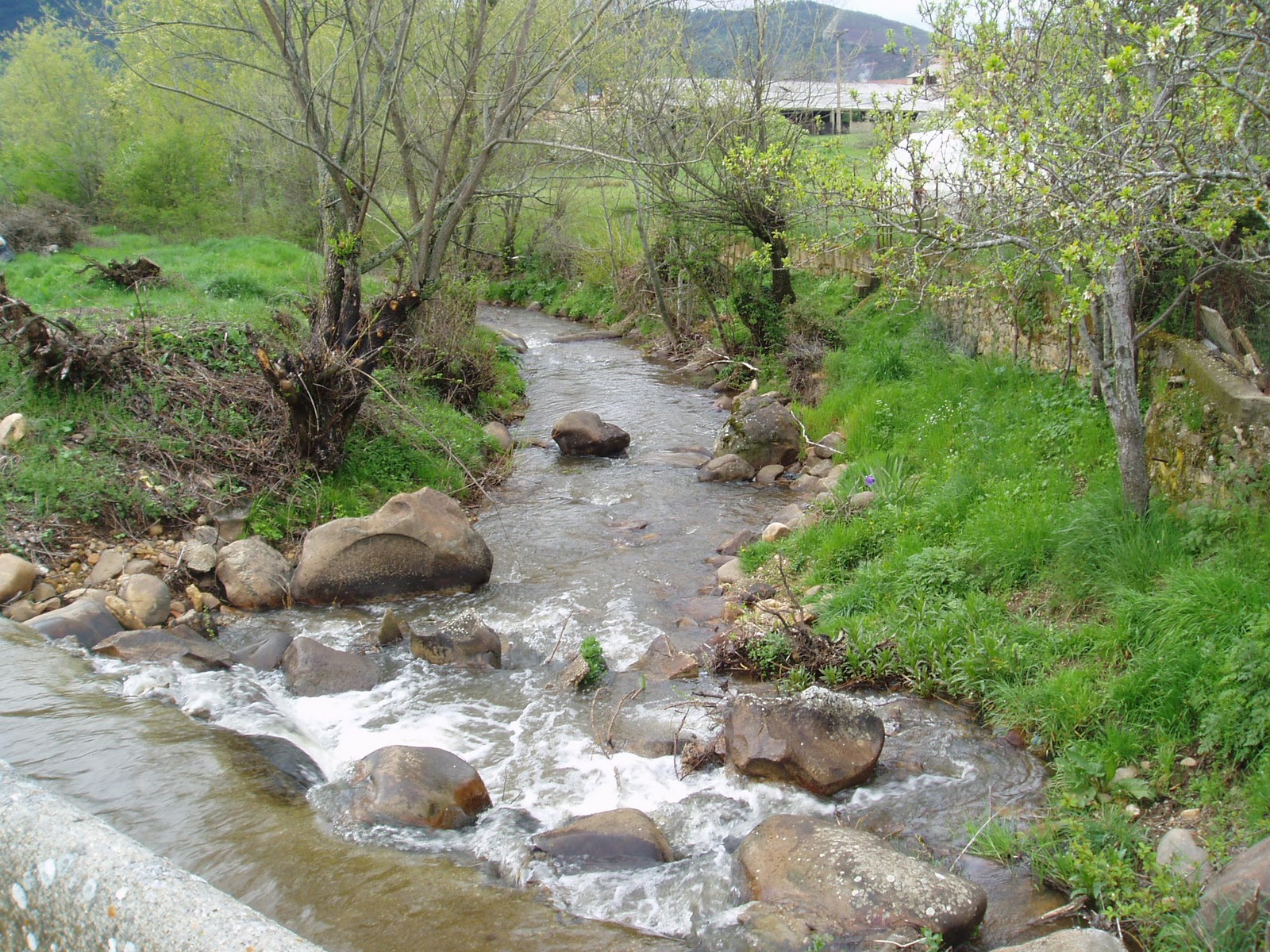 el maragato CAMINO DE BOÑAR POR