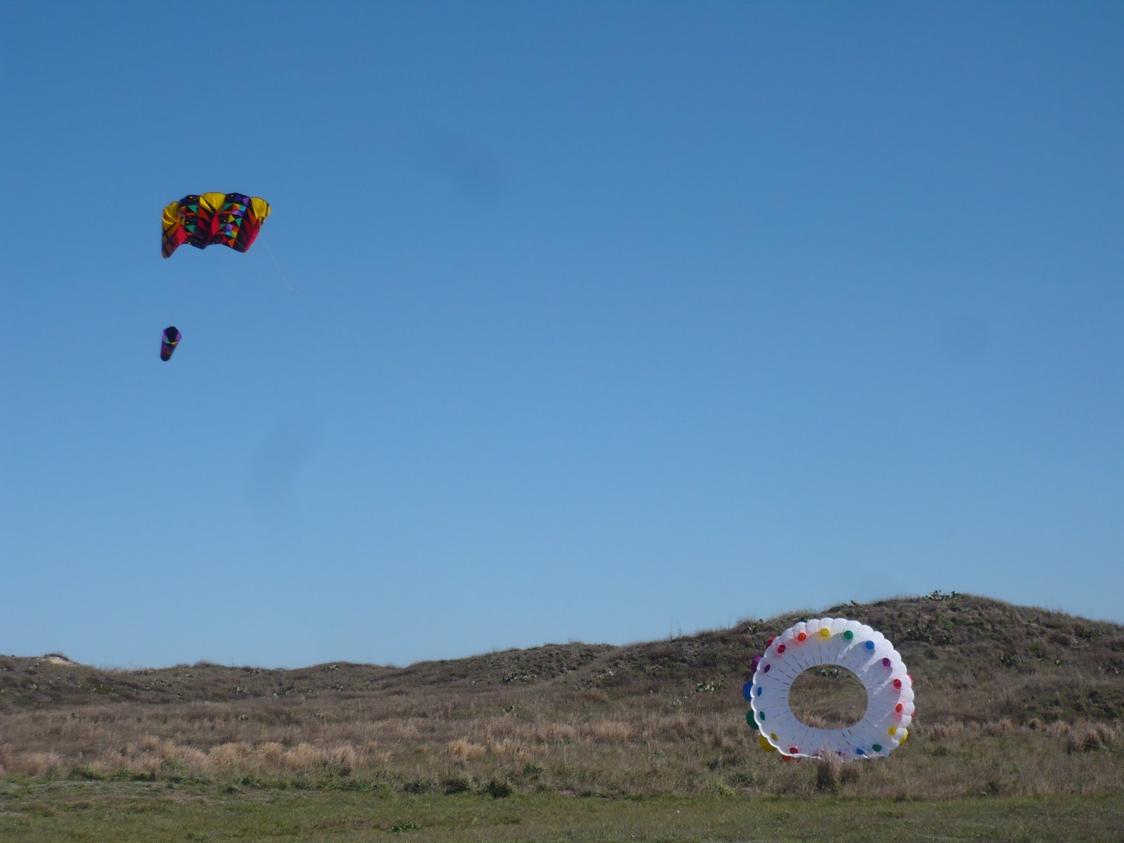Free Rosey & Free Willy RV Travel Mustang Island, Port Aransas