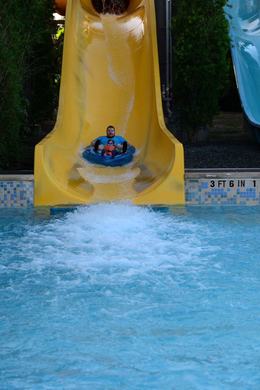 I never expected to experience so many thrilling rides at the SeaWorld