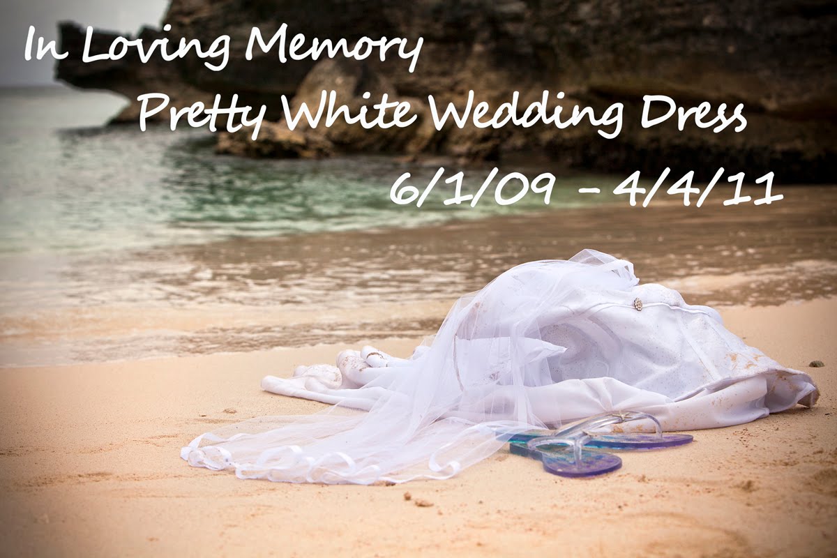 Lisa on Location Does spray paint come out of white taffeta? No, it