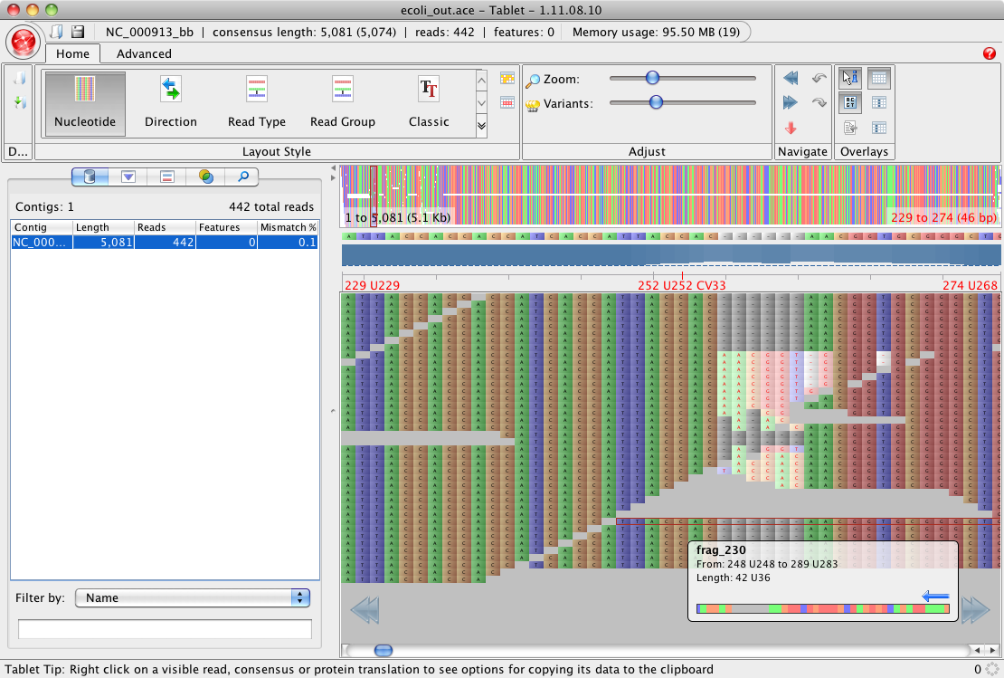 Blasted Bioinformatics!?: SAM/BAM with gapped reference