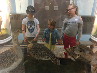 Norfolk Rail Adventure With Greater Anglia Norfolk Rail Adventure With Greater Anglia