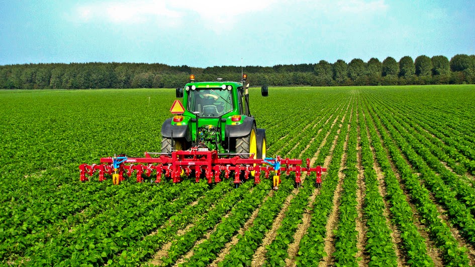 PRT2008 GROUP 3 CHAPTER 2 THE TRANSFORMATION OF AGRICULTURE sustainable-agriculture-zeller-1-ippi