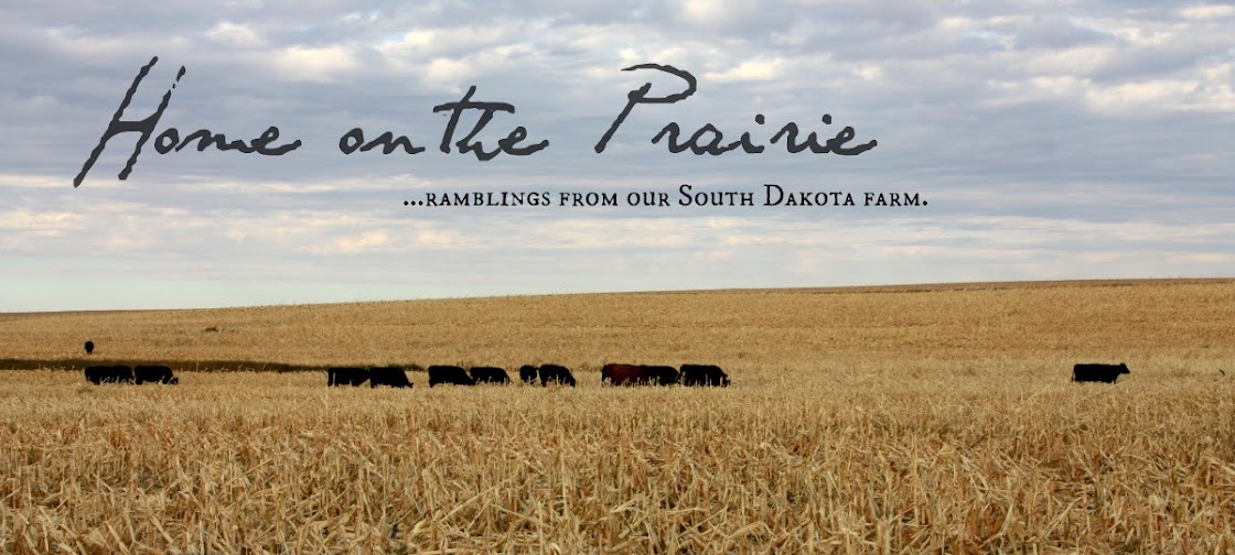 Makin' a Home on the Prairie