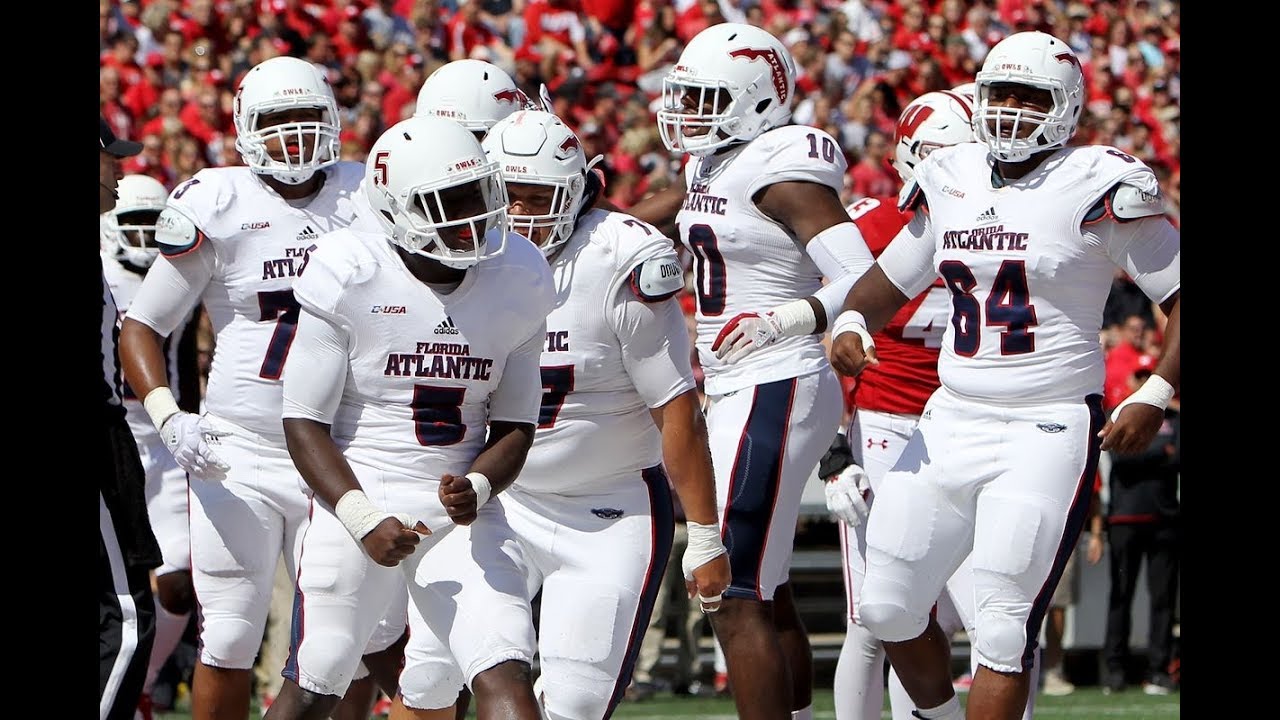 fau football owls college celebrating sports fans present