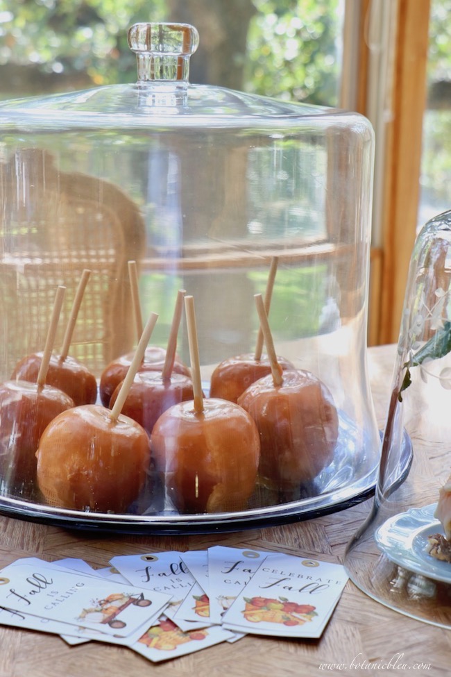 store double chocolate caramel apples under glass cloche