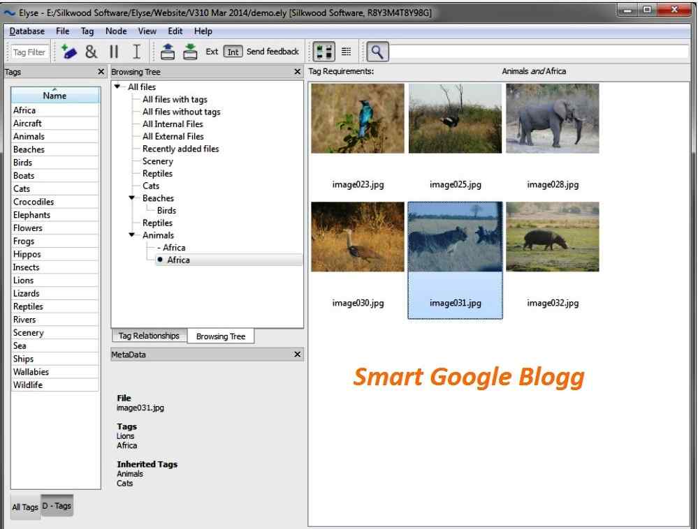 Splt. Tagspaces. Easy file organizer программа логотип. Docx/. Много файлов сим меню.