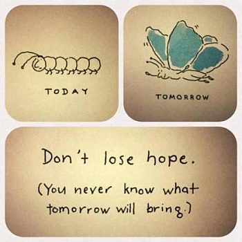 nadzieja, motyl, gąsielnica, robak, metamorfoza, przepoczwarzenie, lepsze jutro
