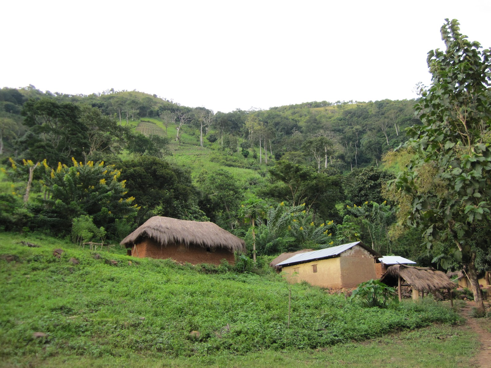 a heart for others Medical Missions