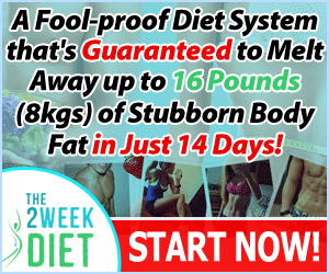 The 2 Week Diet System