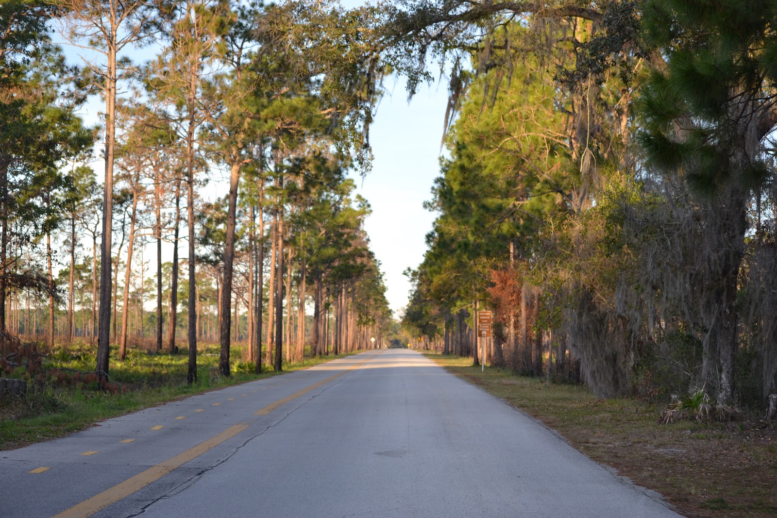 No Bad Days RVing Highlands Hammock State Park