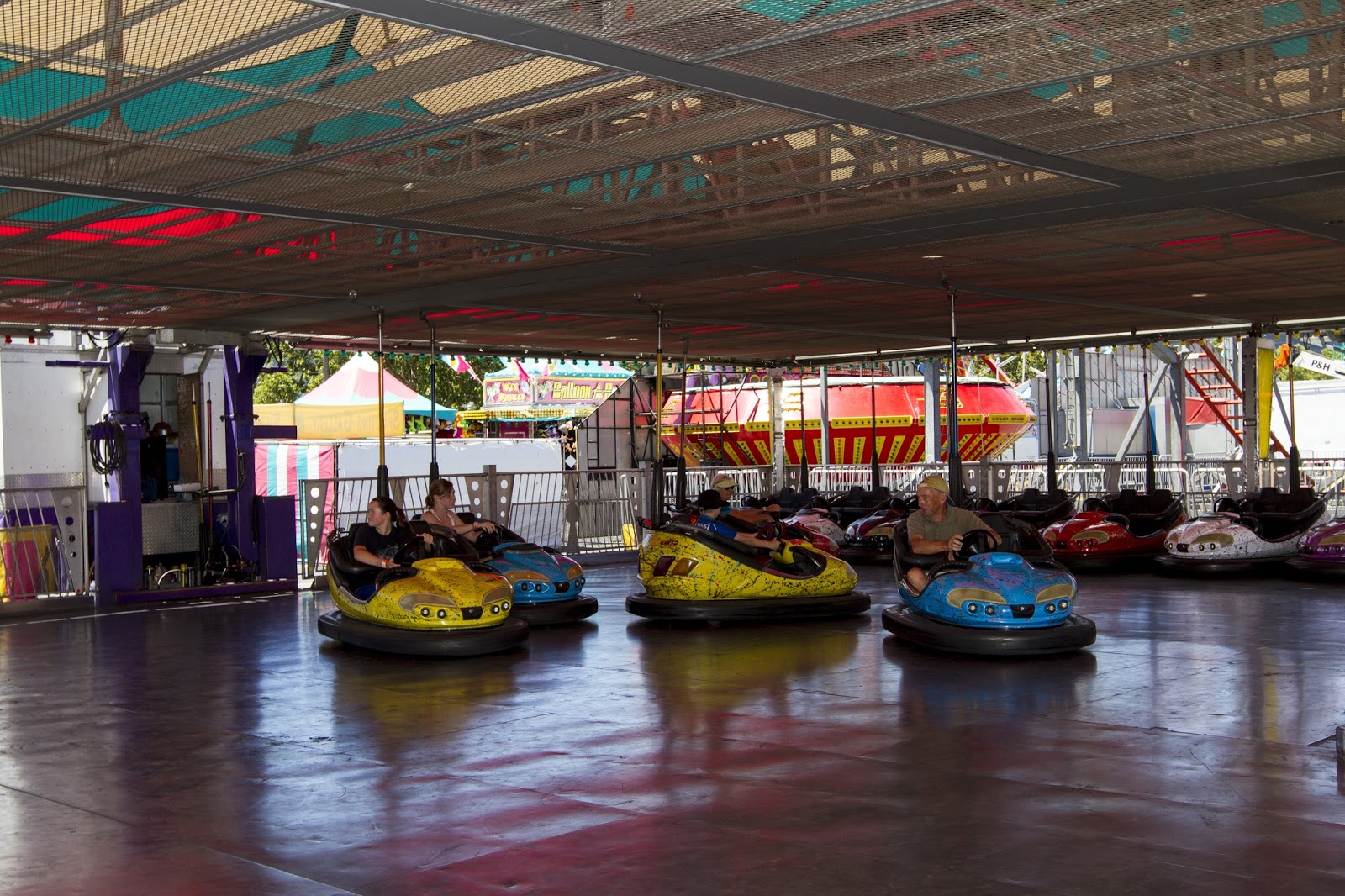 Naturetastic Blog Alameda County Fair 2013 (Part 2)