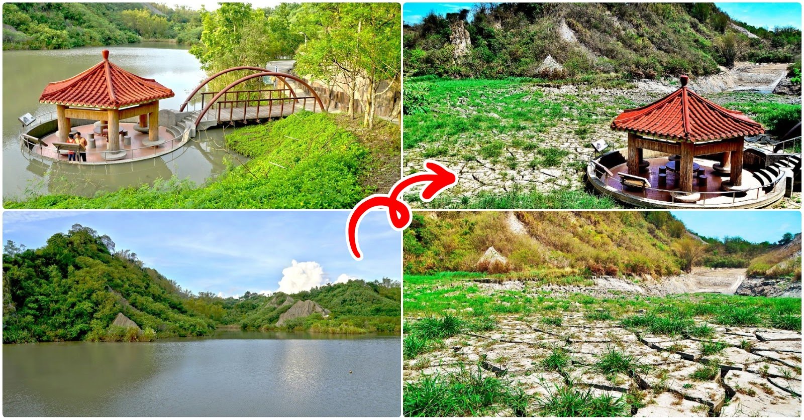為重現「夢幻湖」美景|牛埔農塘清淤放流一片乾涸|暫時不見夢幻景色