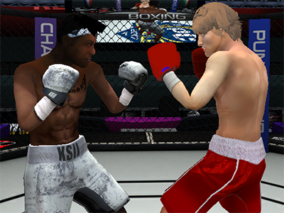 Punch Boxing Championship Punch Boxing Championship