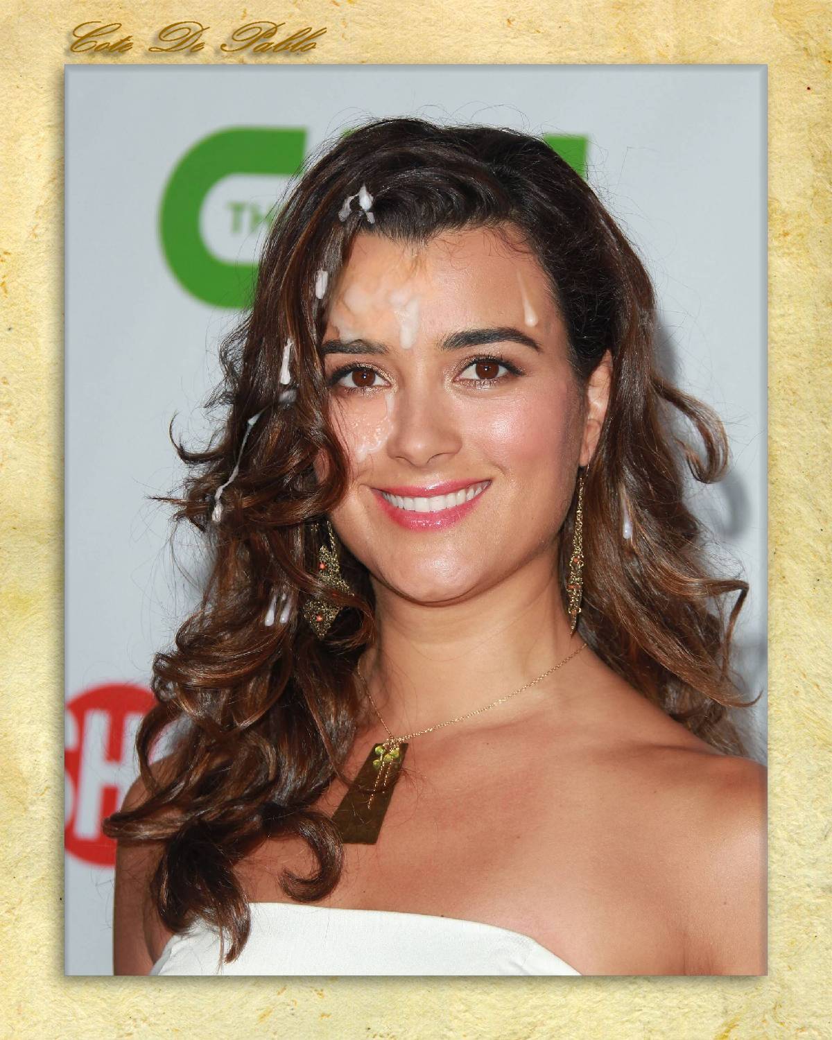 cote de pablo fakes cote de pablo fakes