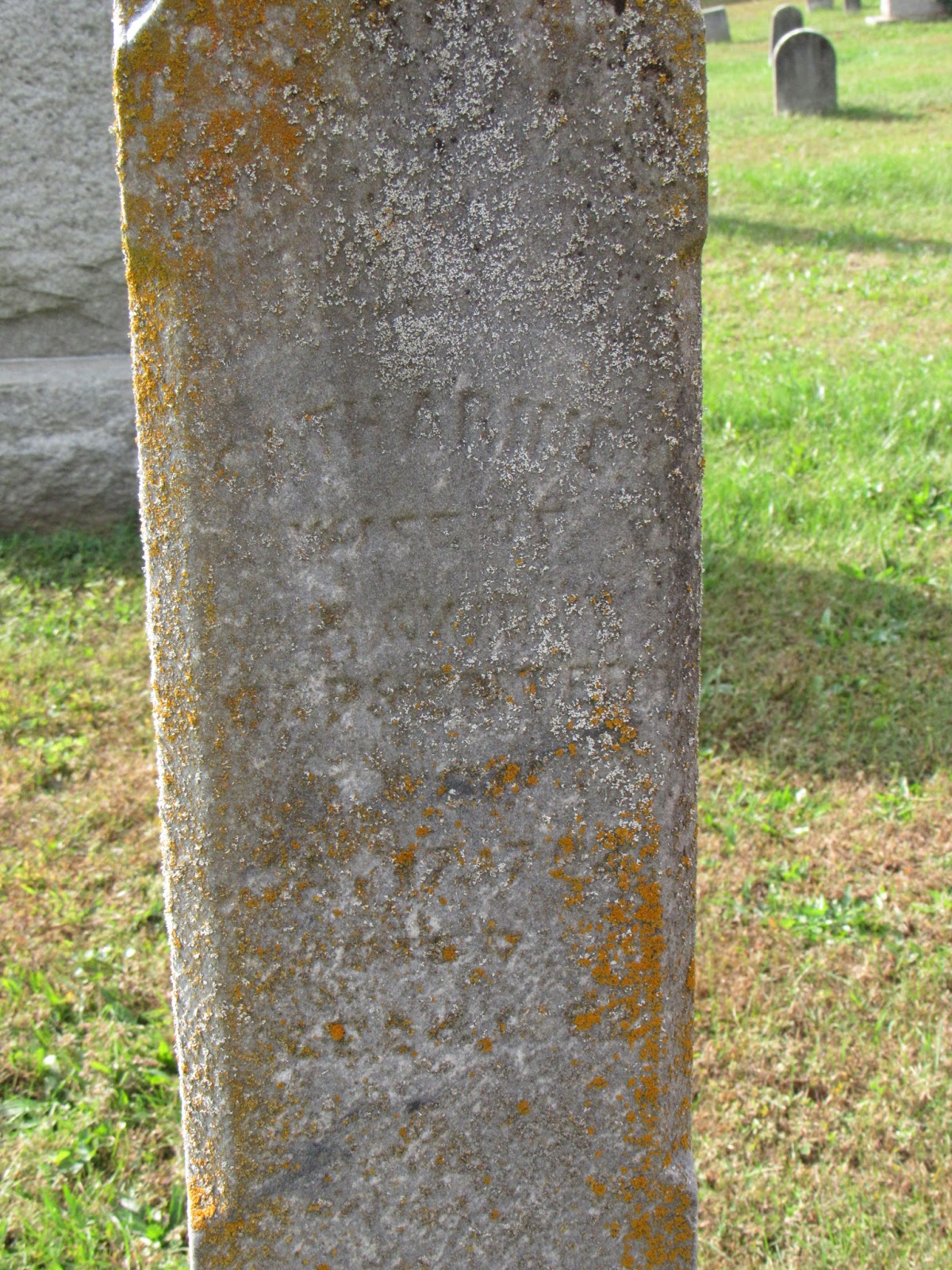 A Walk Through The Tombstones Greene County Chapel Cemetery