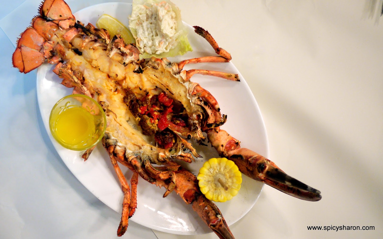 Lobsterman SS2 PJ Way Below Expectation. Spicy Sharon A