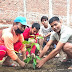 विश्व पर्यावरण दिवस पर सखी सेवा संस्थान ने कराया वृक्षारोपण