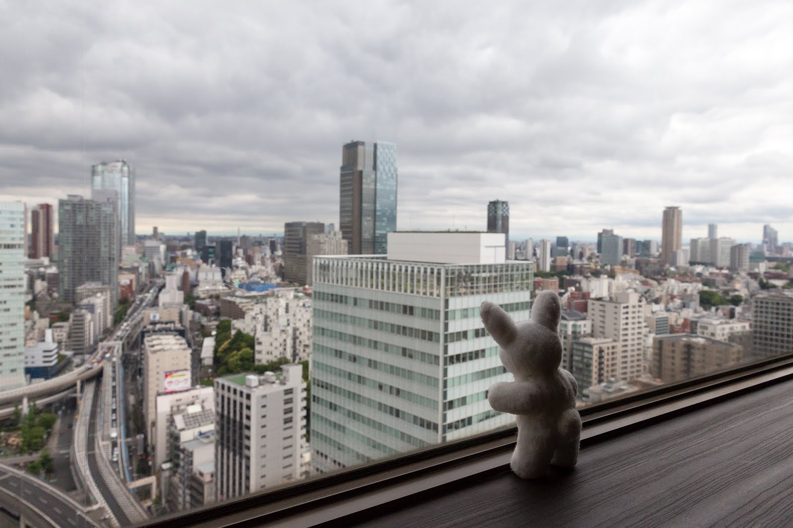 Taking in the View of the City