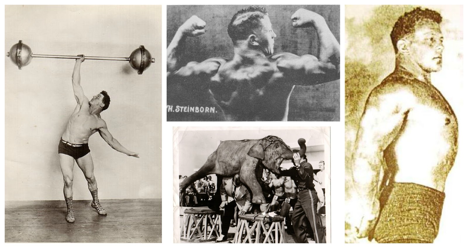 Henry+Milo+Steinborn+Collage.jpg