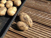Potatoes - Fork Damage