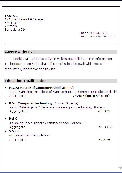 software professional resume samples
