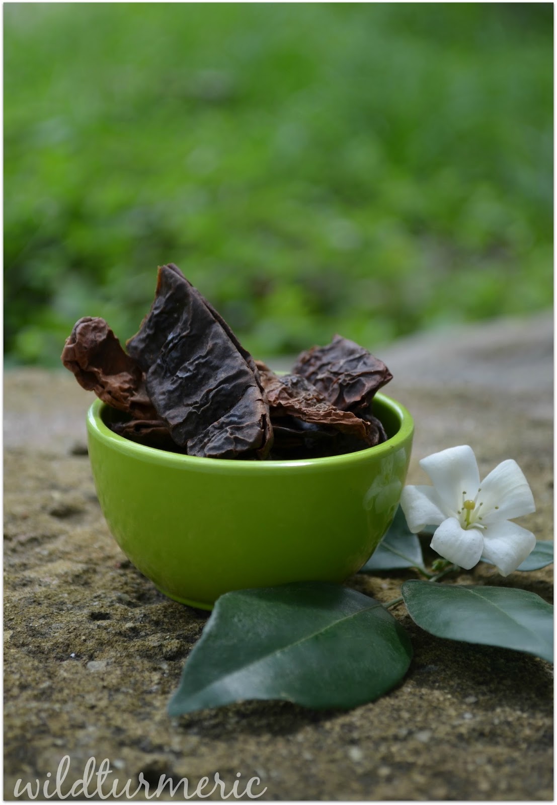 10 Natural Ayurvedic Indian Herbs For Hair Growth For Men & Women