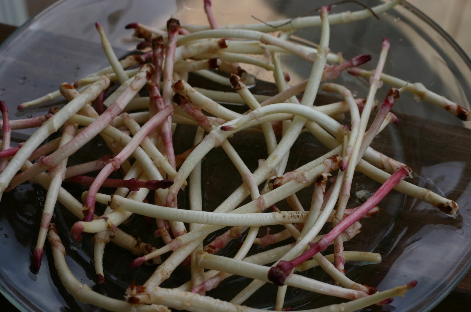 Hop'n Blueberry Farm News: More Hop Pruning