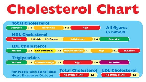 Total Cholesterol Level Chart