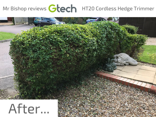 Using the GTech HT20 Cordless Hedge Trimmer after picture