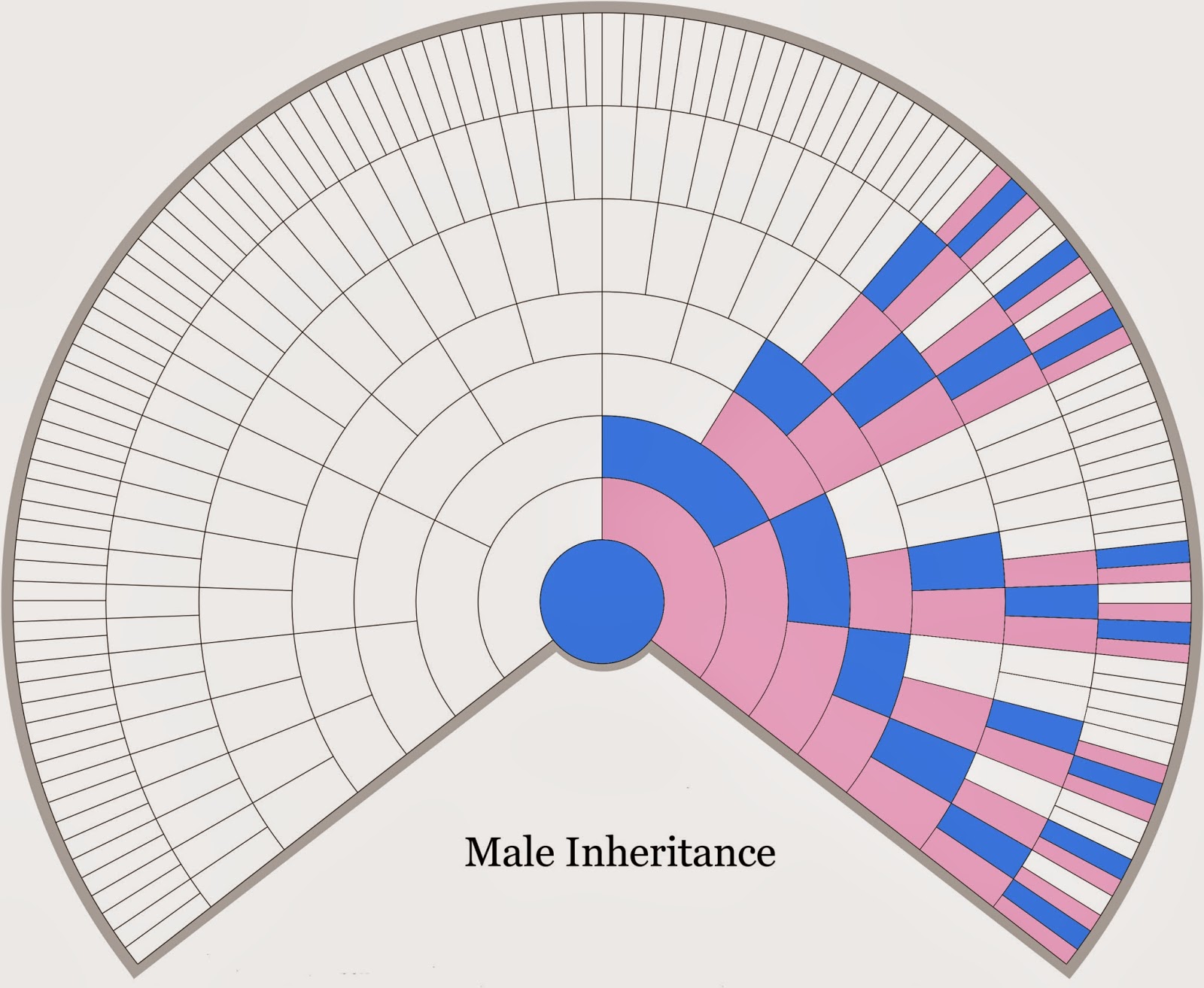 X-Chromosome+fan+chart+male+-+from+Blaine+300dpi.tif