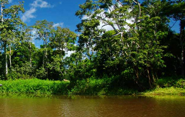 Contoh Ekosistem Payau - Contoh Waouw