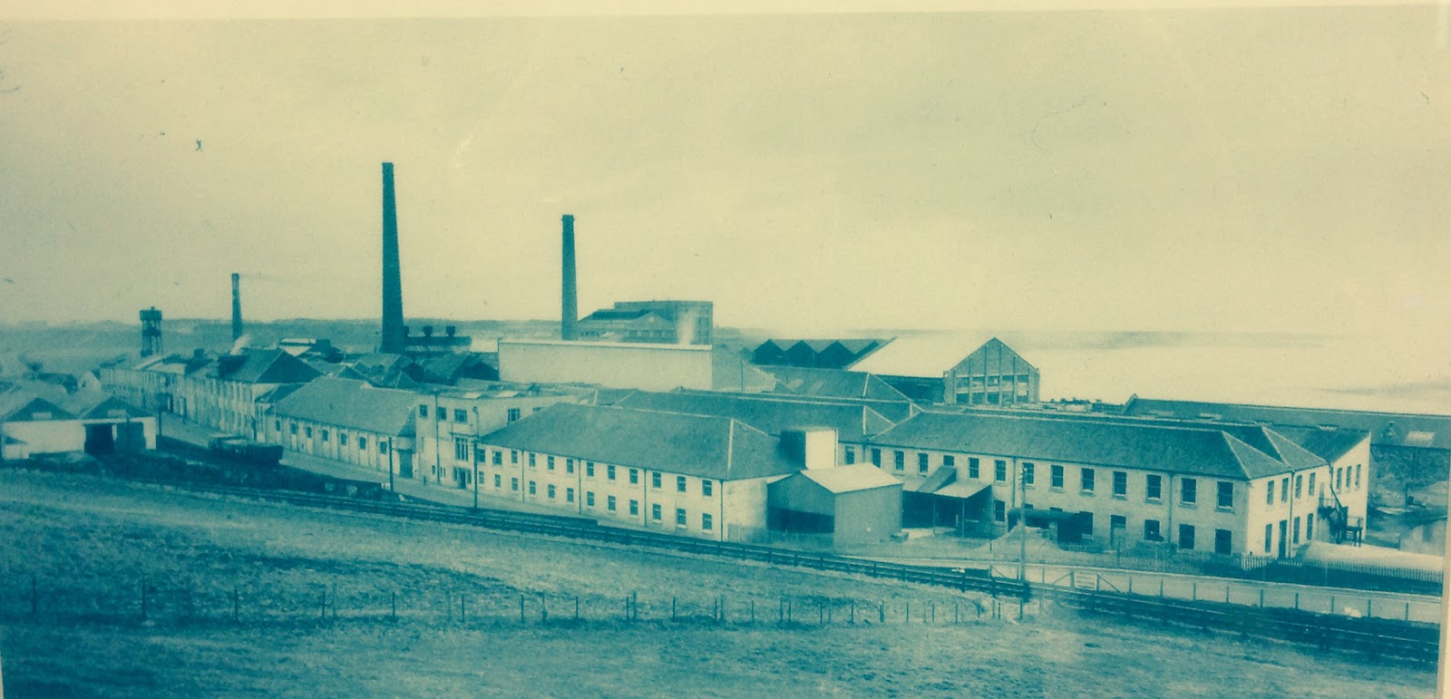 Justin's Amazing World At Fenner Paper Eden Mill