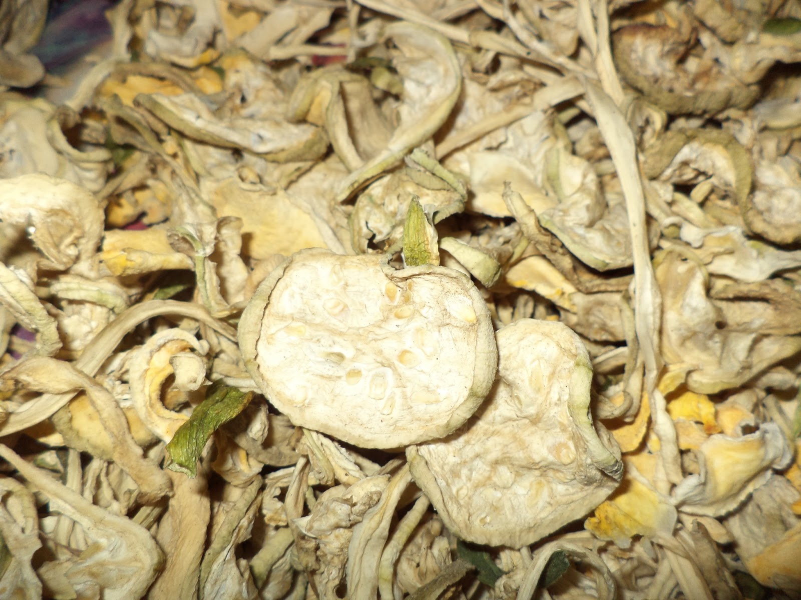 KOSHUR KHYAEN DRIED VEGETABLES OF KASHMIRPART ONE