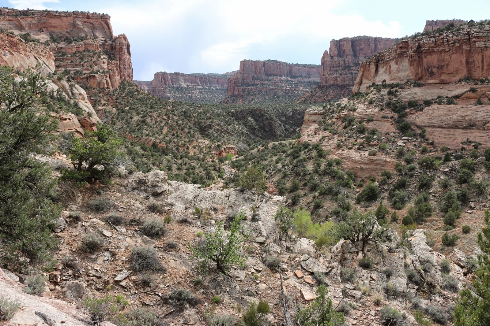 Devil's Canyon Area (6)