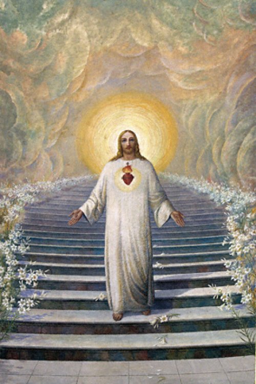 In Tua Justitia Libera me Domine Suore consolatrici del Sacro Cuore di