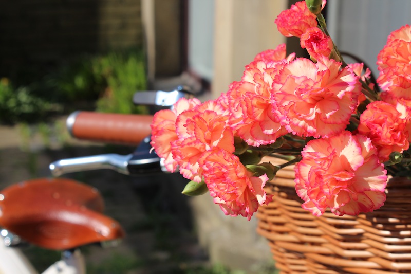 pashley britannia bike