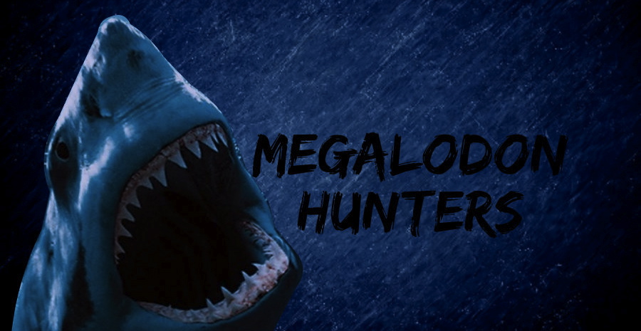 Megalodon Hunters